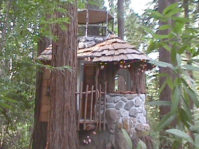 treehouse.jpg