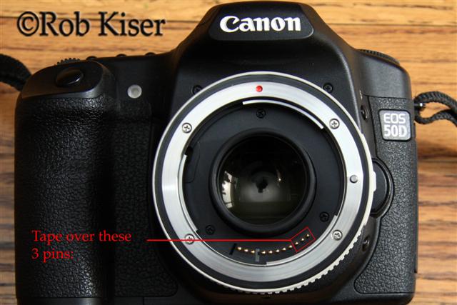 equestrian photography amateur lens canon 40d